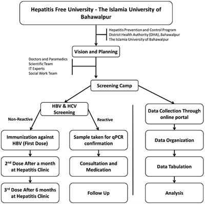 Screening of hepatitis B and C viral infection, recognition of risk factors, and immunization of patients against hepatitis B virus: a module developed for effective hepatitis control